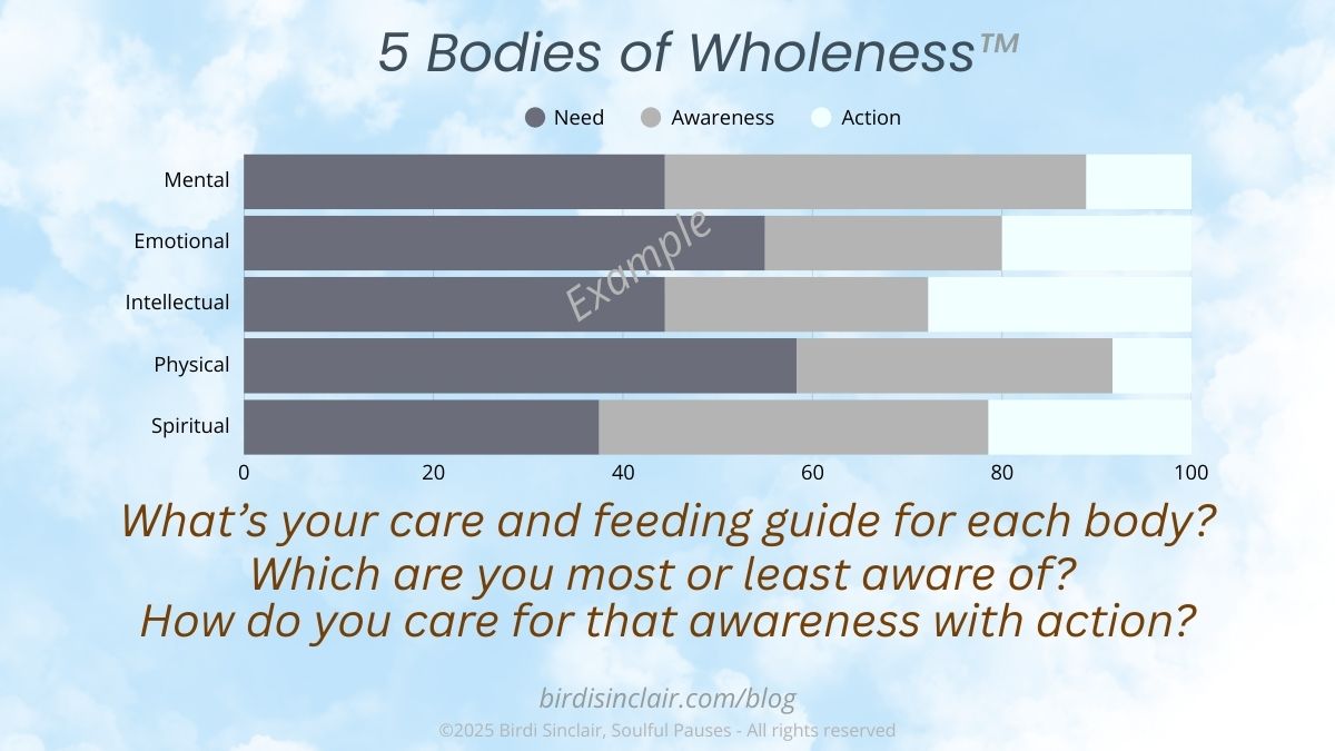 Birdi Sinclair TM 5 Bodies of Wholeness Intro Graphic